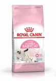 Royal Canin Mother & Babycat Cat Food 2kg-cat-The Pet Centre