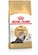 Royal Canin Persian Adult Cat Food 2kg