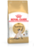 Royal Canin Siamese Adult Cat Food 2kg