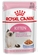 Royal Canin Kitten Instinctive in Jelly 85g