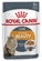 Royal Canin Cat Hair & Skin in Jelly 85g