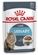 Royal Canin Cat Urinary Care in Gravy 85g