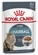 Royal Canin Cat Hairball Care in Gravy 85g