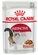 Royal Canin Cat Instinctive Adult in Gravy 85g