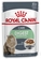 Royal Canin Cat Digestive Sensitive in Gravy 85g