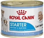 Royal Canin Starter Mousse Baby Dog Food Can 195g-dog-The Pet Centre