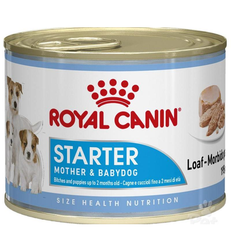 Royal Canin Starter Mousse Baby Dog Food Can 195g