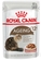 Royal Canin Cat Ageing 12+ in Gravy 85g