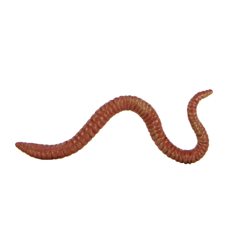 Biosupplies Earthworms 40g