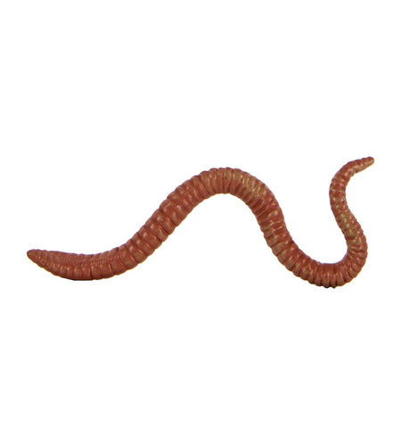 Biosupplies Earthworms 40g