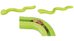 Trixie Snack Snake 42cm-dog-The Pet Centre
