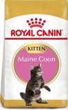 Royal Canin Maine Coon Kitten 2kg-cat-The Pet Centre