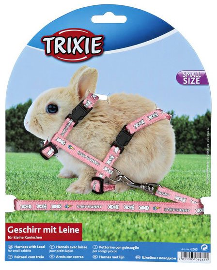 small rabbit harness