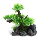 AquaWorld Large Tree On Rock 19.5x13.5x19.5cm-ornaments-The Pet Centre