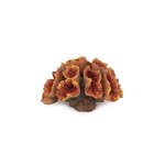 Aqua Care Ornament Coral Orange Small-fish-The Pet Centre