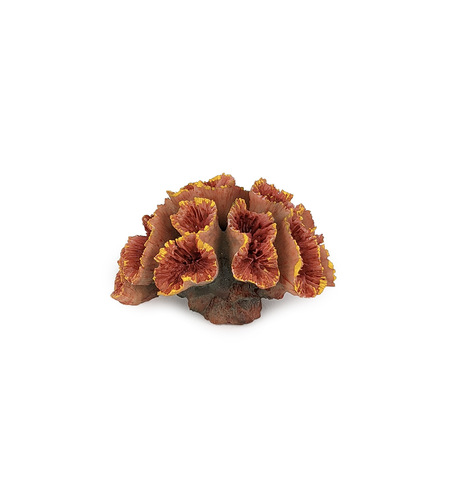 Aqua Care Ornament Coral Orange Small