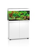 Juwel Rio125 Aquarium & Cabinet - White-fish-The Pet Centre