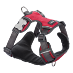 Red Dingo Padded Harness Red Size M-dog-The Pet Centre