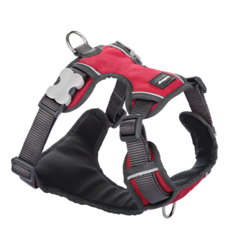 Red Dingo Padded Harness Red Size M