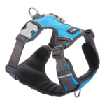 Red Dingo Padded Harness Turquoise Size S-dog-The Pet Centre