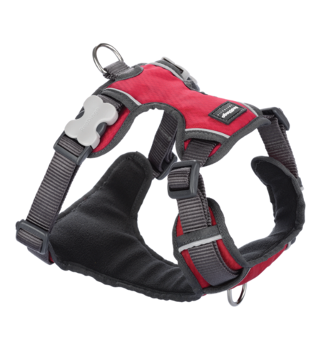 Red Dingo Padded Harness Red Size S