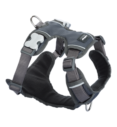 Red Dingo Padded Harness Cool Grey Size XS