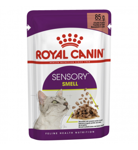 Royal Canin Feline Health Nutrition Sensory Smell Gravy Pouches