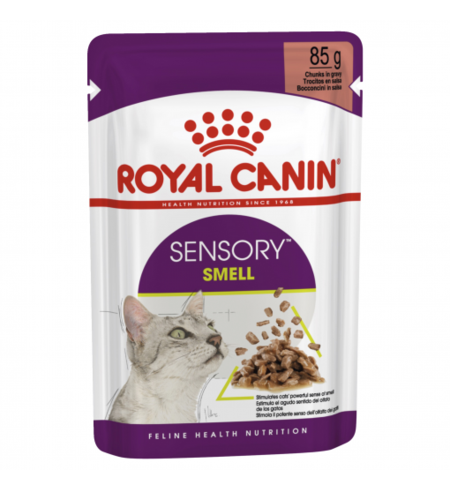 Royal Canin Feline Health Nutrition Sensory Smell Gravy Pouches