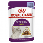 Royal Canin Feline Health Nutrition Sensory Smell Jelly Pouches-cat-The Pet Centre