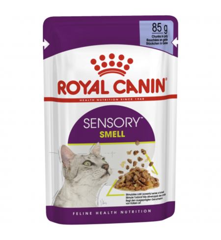 Royal Canin Feline Health Nutrition Sensory Smell Jelly Pouches