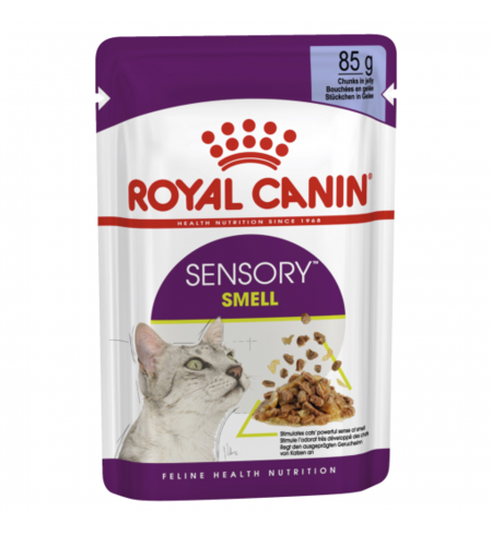 Royal Canin Feline Health Nutrition Sensory Smell Jelly Pouches