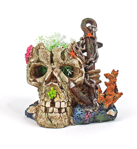 Aqua Care Ornament Skull & Anchor with Plant 18x19cm