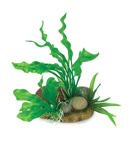 Aqua Care Ornament Rocks With Plant 19cm