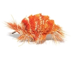 Go Cat - Orange Shrimp Cat Lure-cat-The Pet Centre